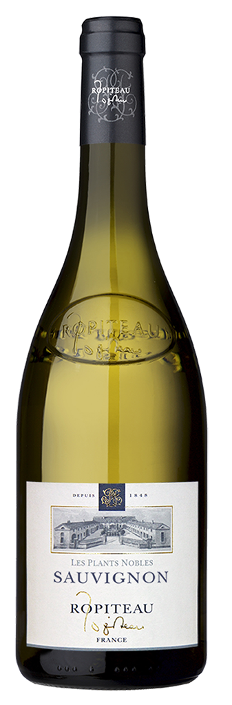 Ropiteau Sauvignon Blanc