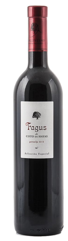 Magnum Fagus
