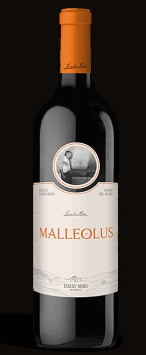 Malleolus
