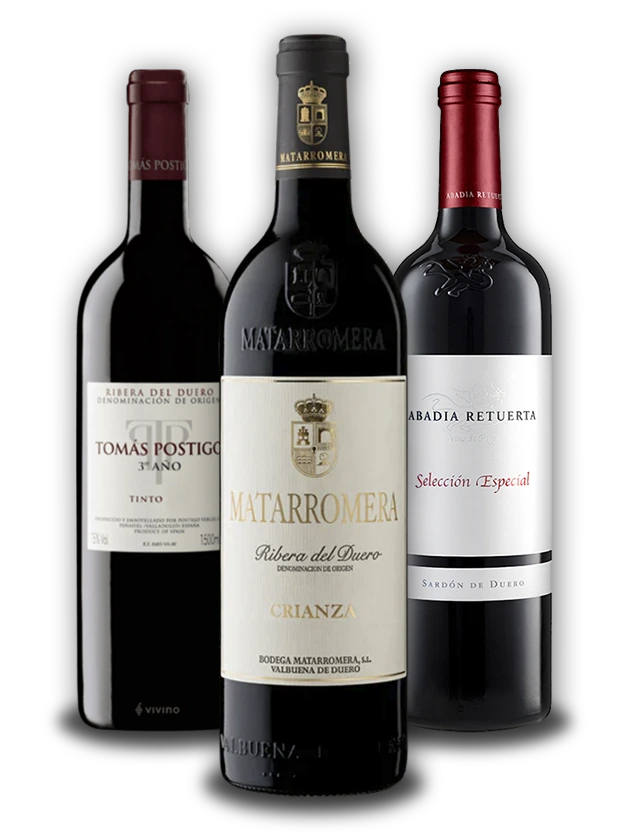 Trio de botellas de vino Trio de botellas de vino