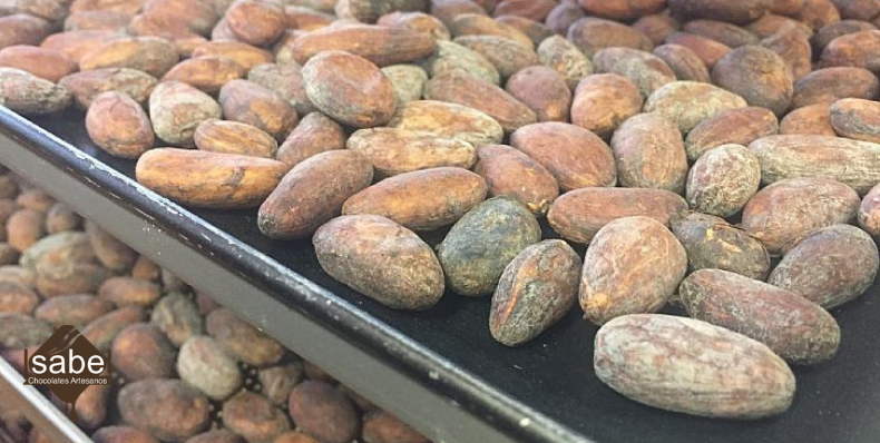Proceso del tostado del cacao