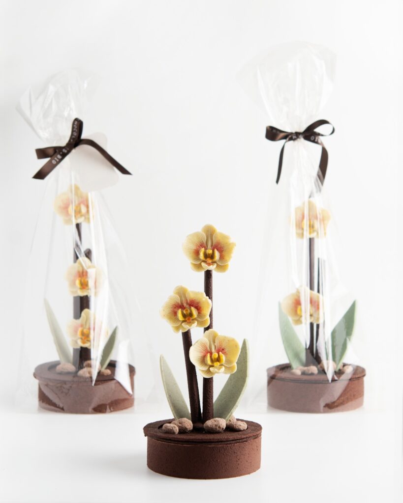 Regala Orquídeas de Chocolate BIO Orquídeas de Chocolate BIO para el Día de la Madre