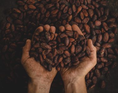 Cacao. Precio 2025