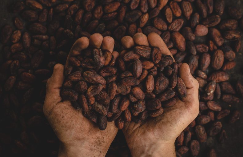 Cacao. Precio 2025