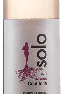 Solo Centifolia