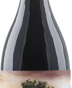 Garnacha Olvidada de Aragon