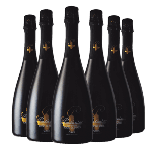 Cava Particular Garnacha Blanc de Noirs