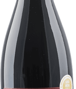 Baltasar Gracian Viñas Viejas